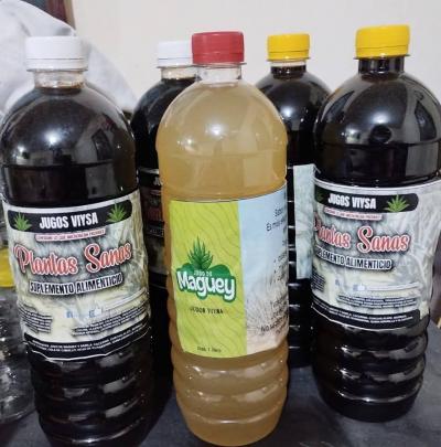 Jugos de Maguey y Sábila